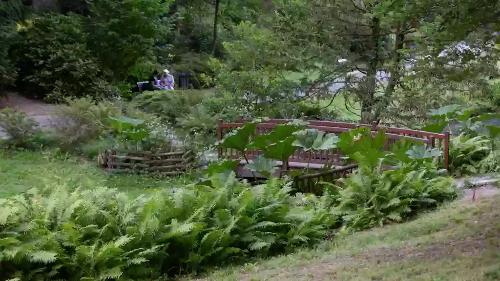 Parc de La Gaudinière