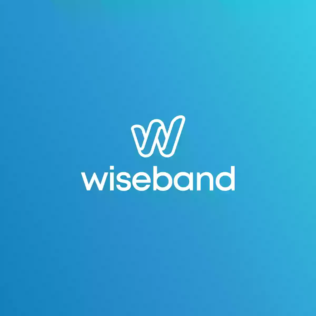 Wiseband