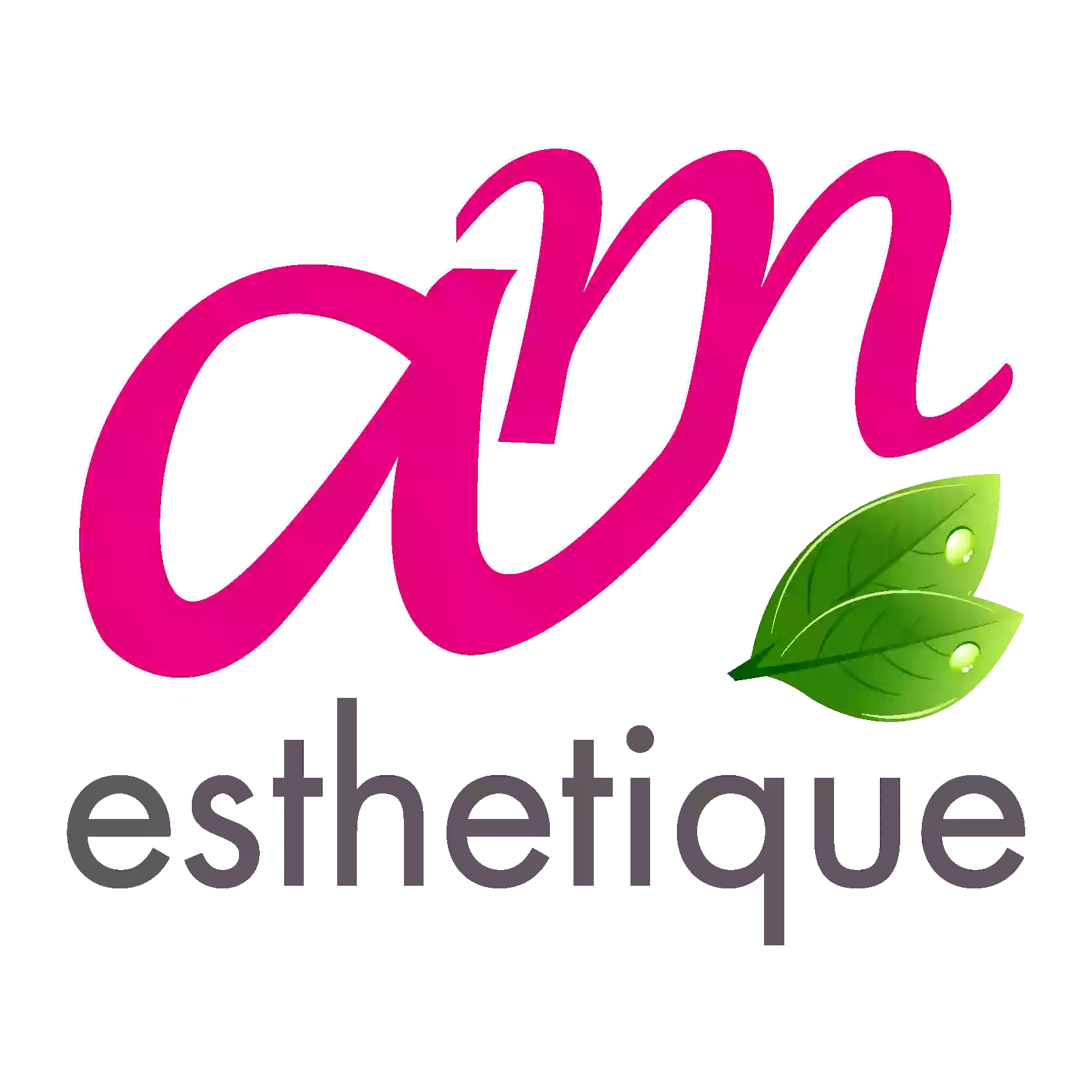 INSTITUT AM ESTHETIQUE