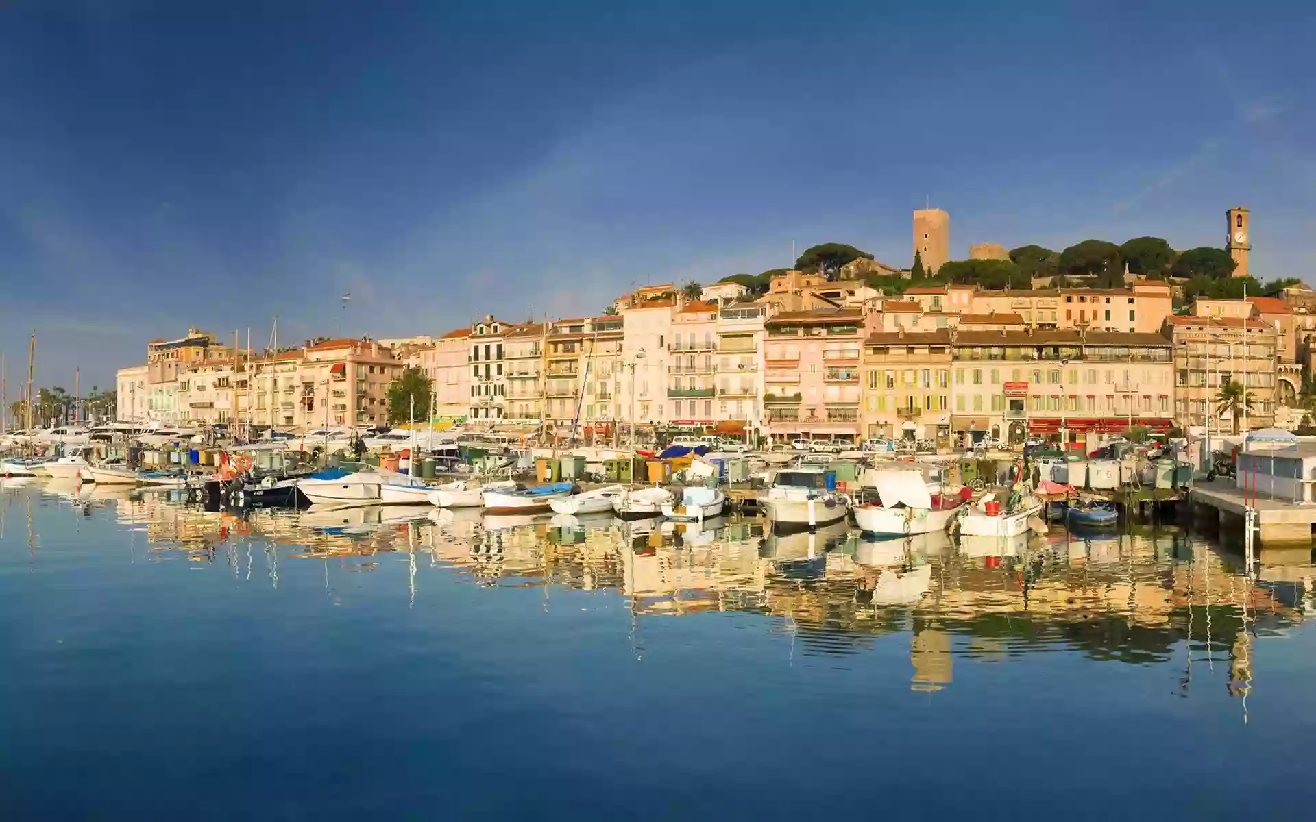 Riviera Tours Cannes : Walking Tours, Food Tours, Private Tours , Bar Crawls, Sightseeing Tours