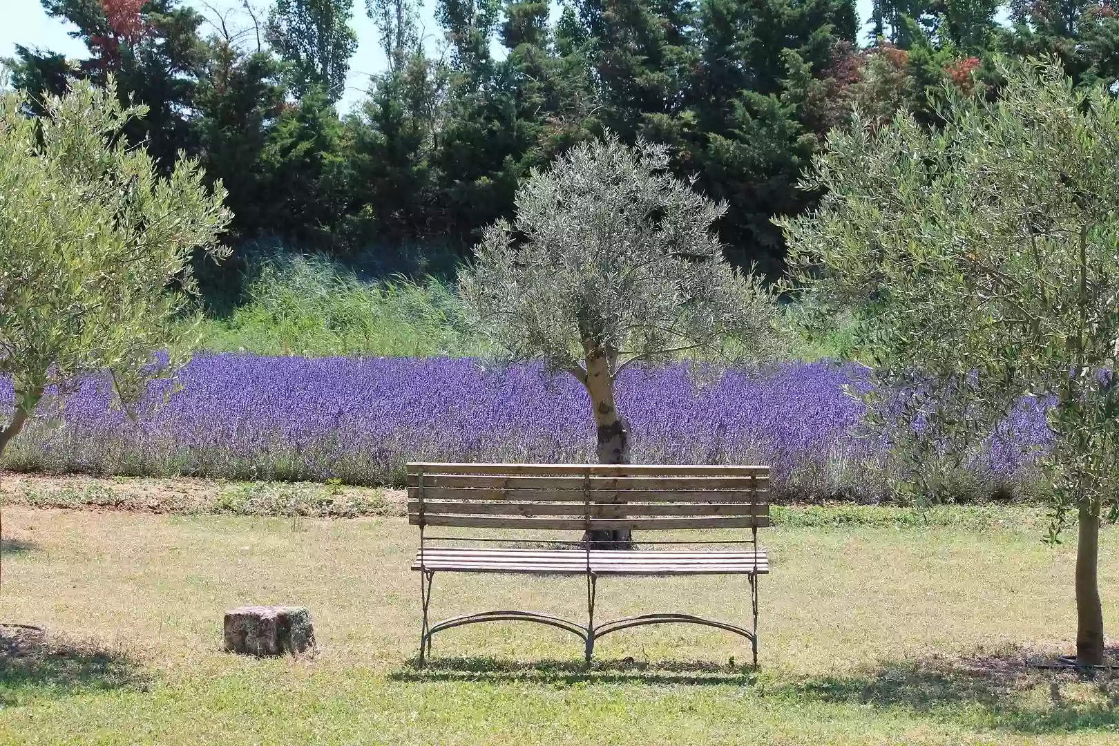 Le Mas Les Eydins : Maison d'hôtes de charme et table gastronomique en Luberon (proche Lacoste Bonnieux)