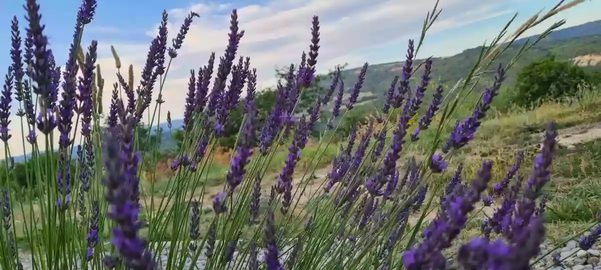 Détente en Luberon