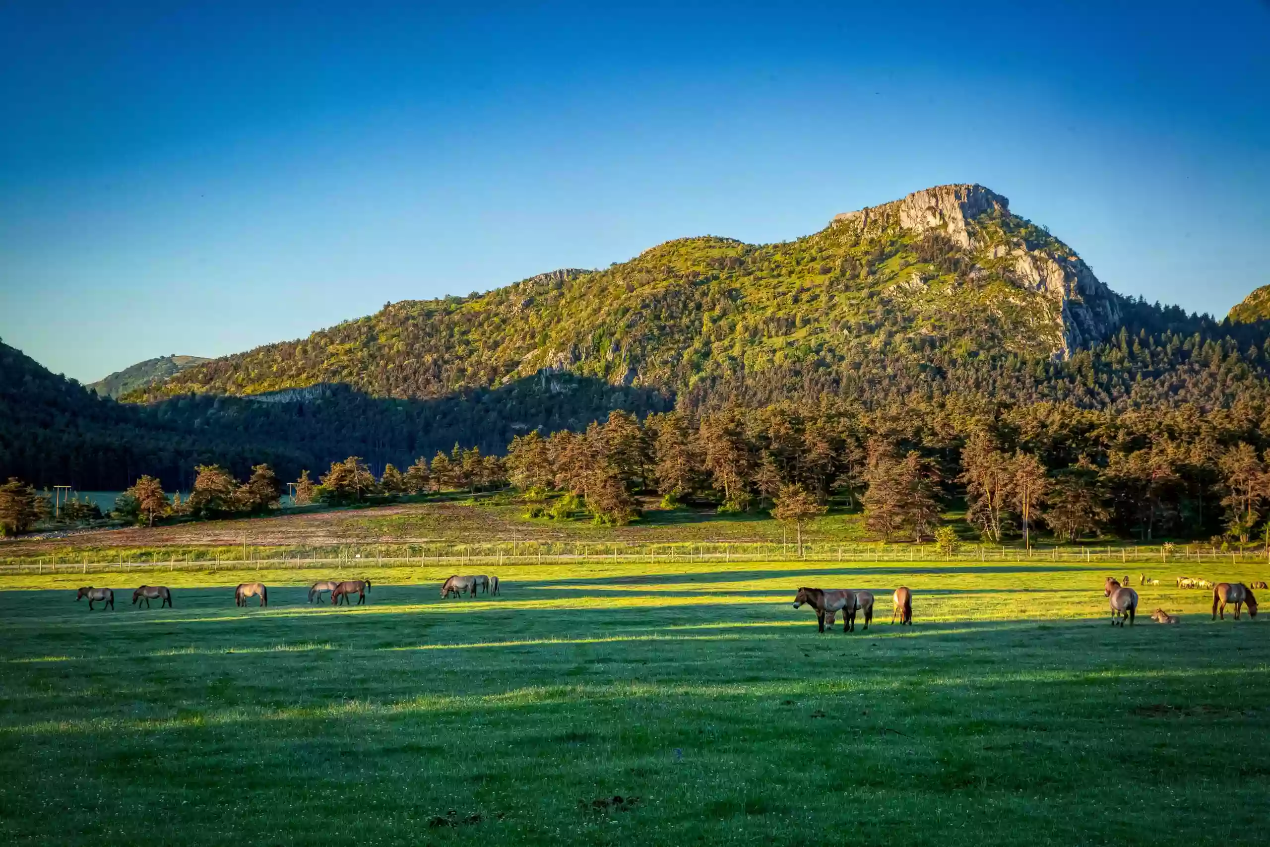 Réserve des Monts d'Azur