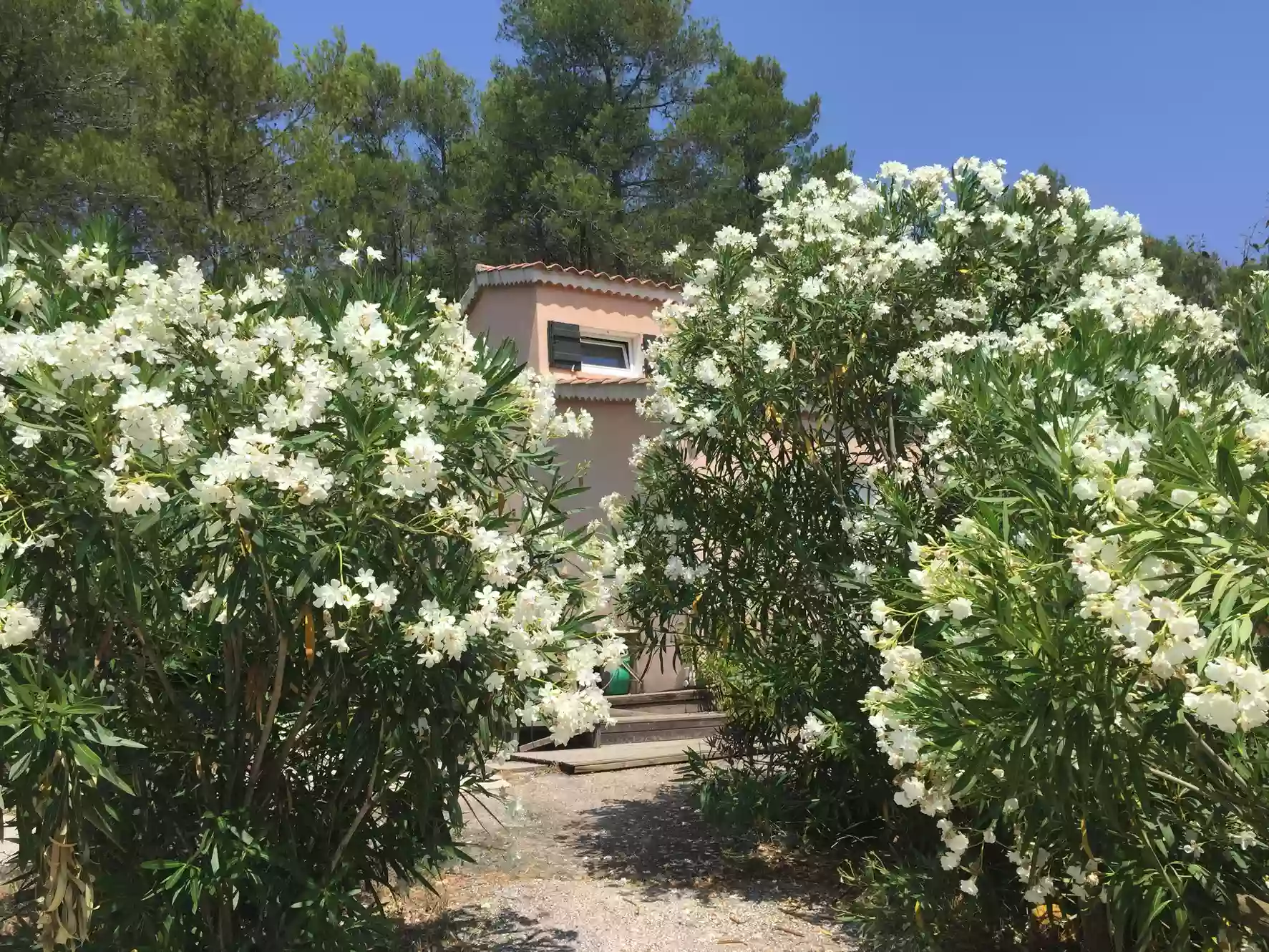 Gîte L'INSTANT, pleine nature. Classé 3 étoiles.