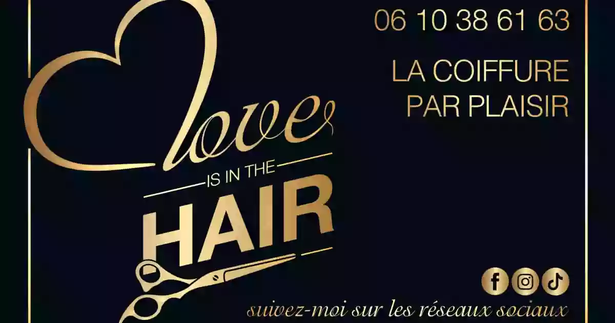 Love is in the Hair coiff