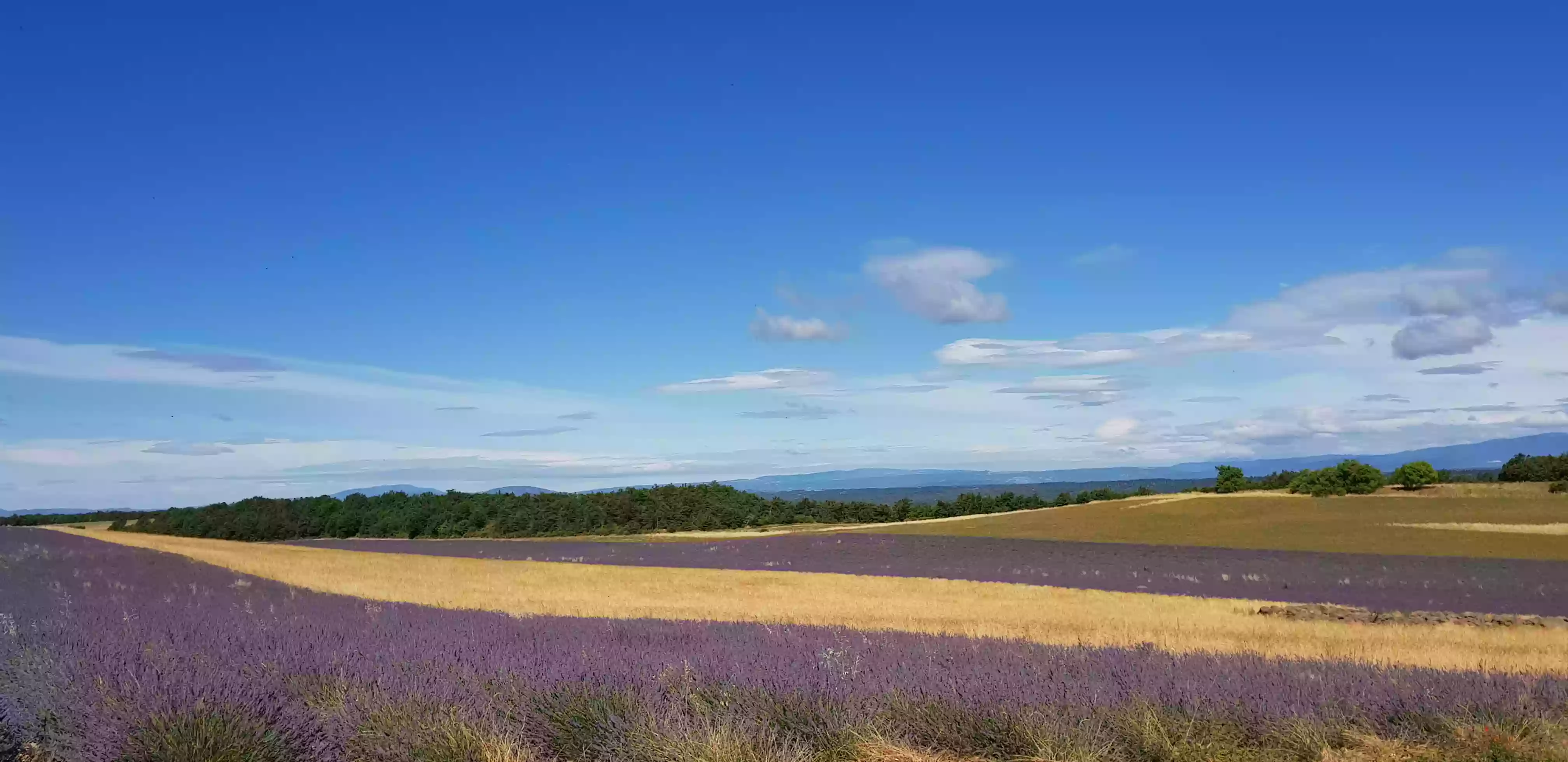 Domaine de la Blache