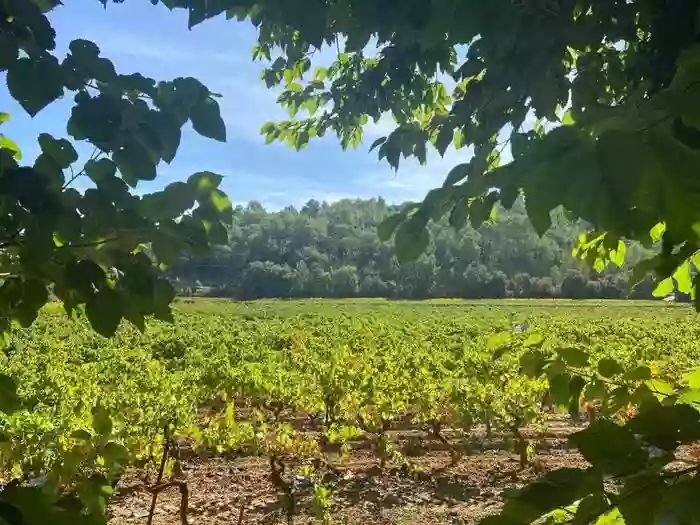 Domaine Le Petit Hameau.