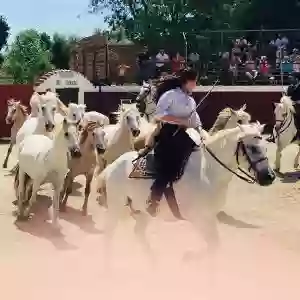 Manade Fernay - Mas des Jasses de la Ville - Arles Camargue