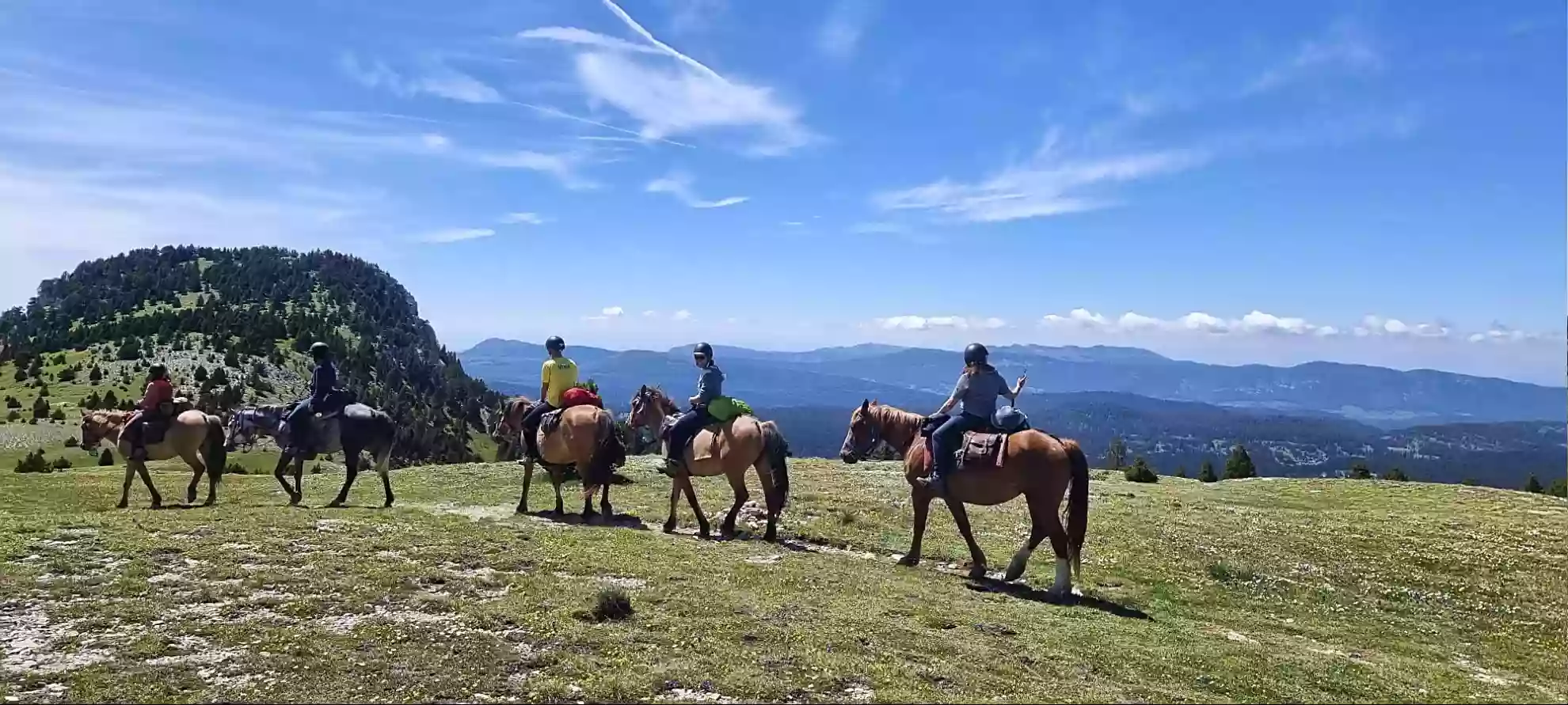 Alpes Cheval : Voyage et Rando équestre