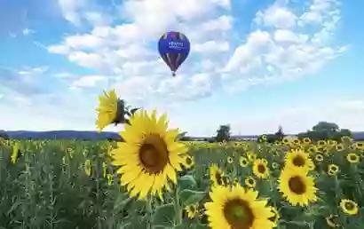 FRANCE MONTGOLFIERES - Provence - Forcalquier