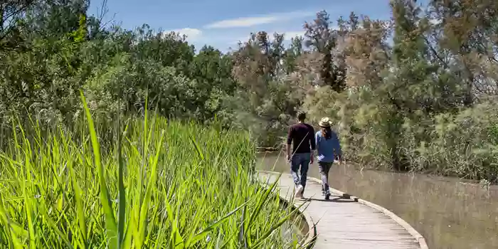 Réserve Naturelle des Marais du Vigueirat