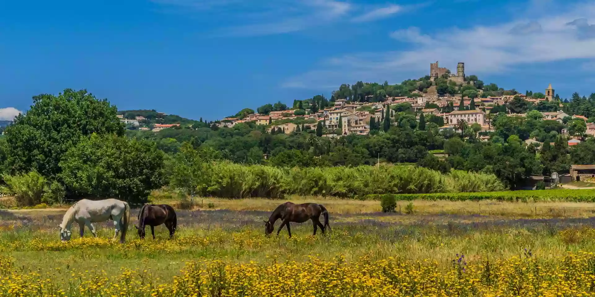 Office de Tourisme de Grimaud