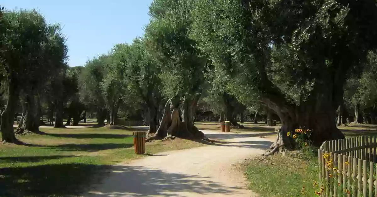 Parc Du Cap Martin