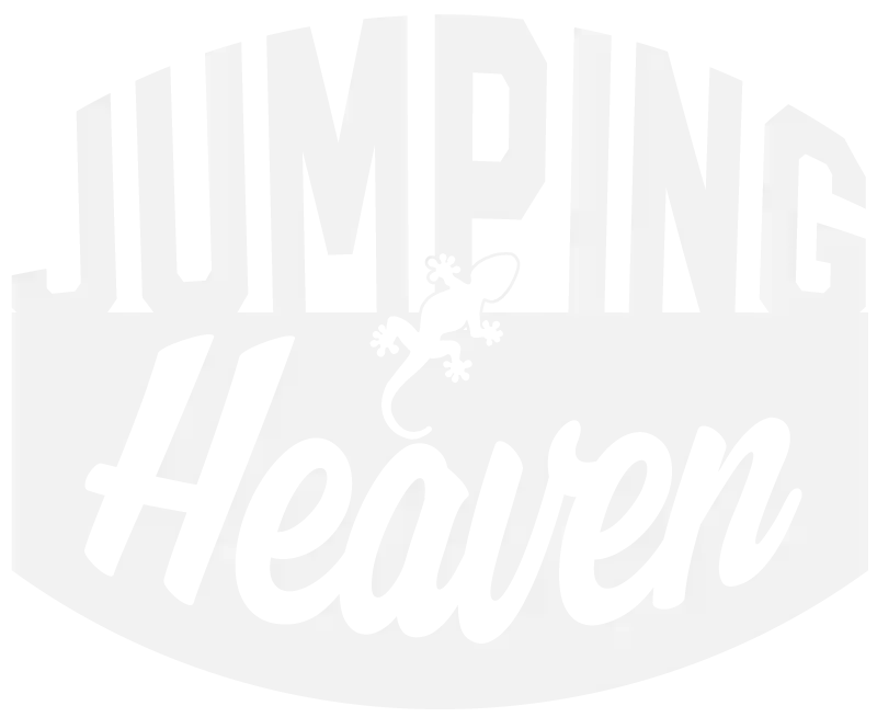 Jumping Heaven Trampoline Park