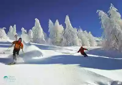 Queyras Mountain Guides - Guides de haute montagne -Hautes-Alpes, Queyras, Écrins