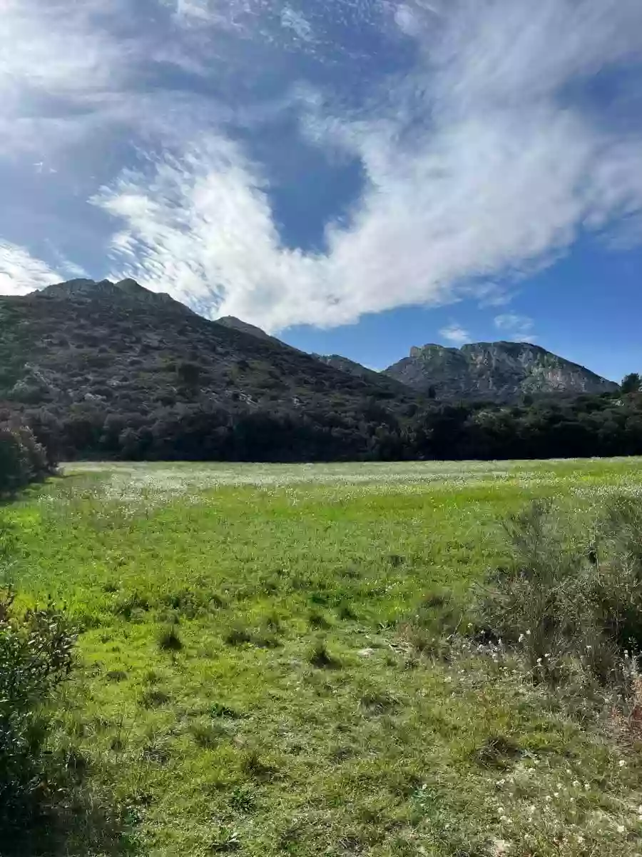 Fenêtre sur les Alpilles