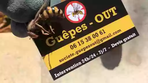 Guêpes Out - Désinsectisation Dératisation Désinfection Avignon