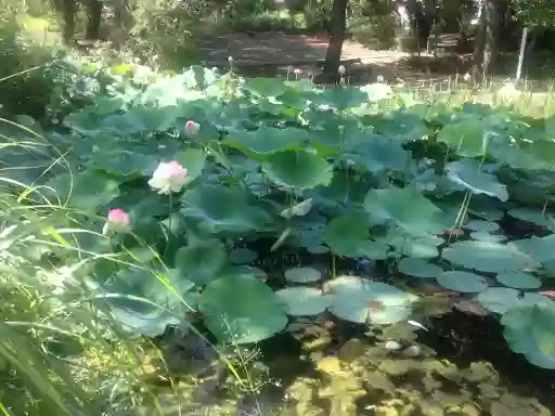 Gaspard et Jardins