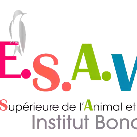 ESAV - Institut Bonaparte Cannes-Nice