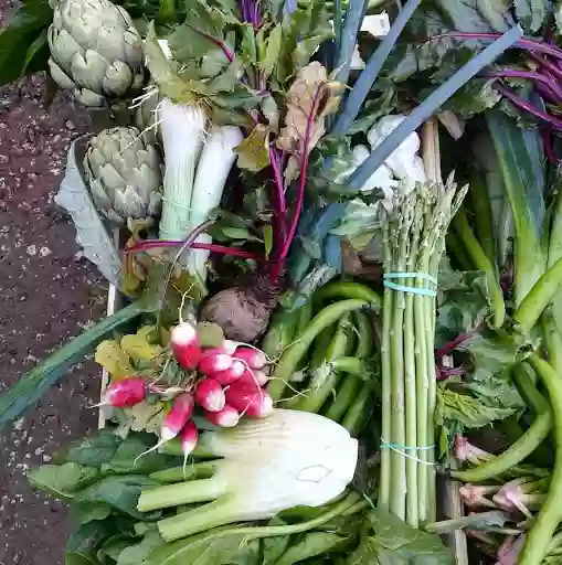 La Fille aux Légumes