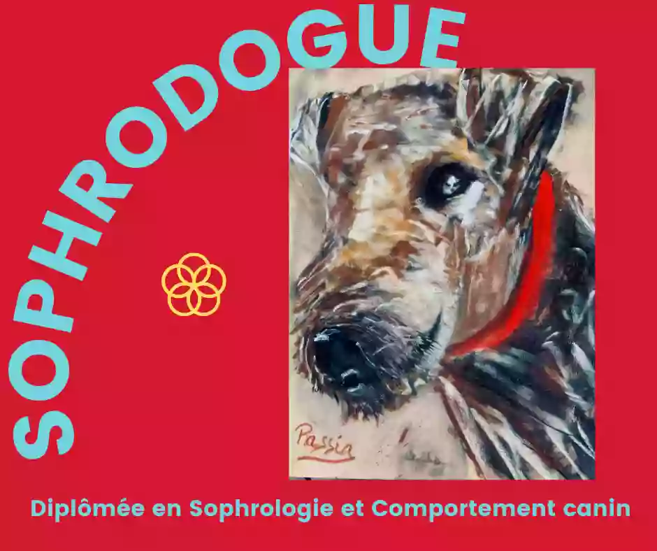 Patricia Berghe, sophrologue art-thérapeute