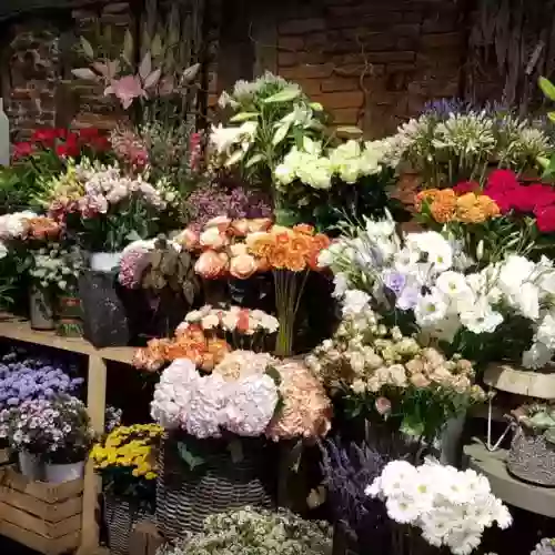 Le Coin Fleuri, Artisan Fleuriste Avignon